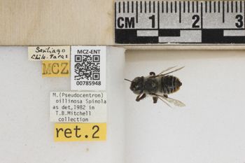 Media type: image;   Entomology 785948 Aspect: Labels